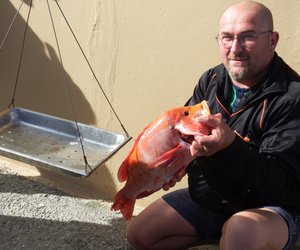 Vangstes min maar darem